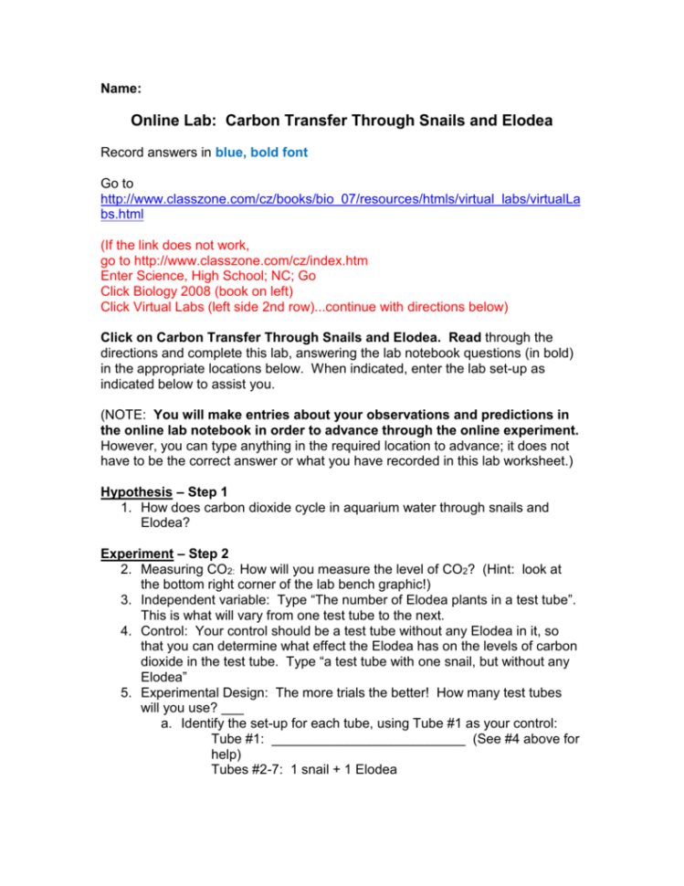 Online Lab Carbon Transfer Through Snails And Elodea