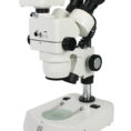 Optical Microscopes Worksheet