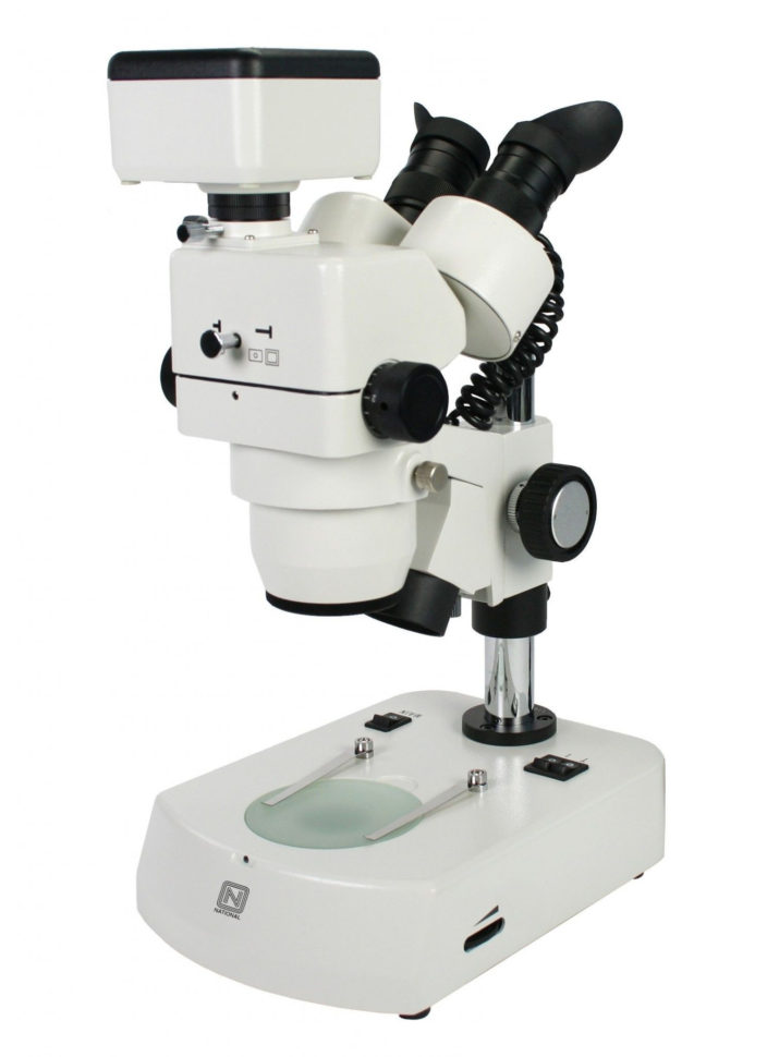 Optical Microscopes Worksheet