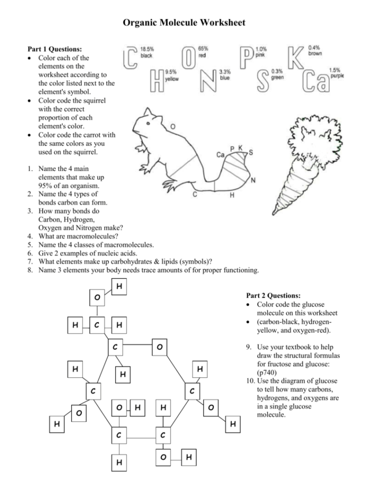 Organic Molecule Worksheet