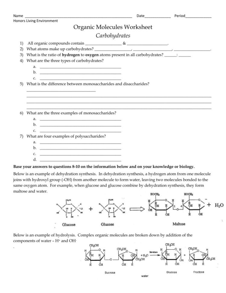 Organic Molecules Worksheet Review Carbohydrates Worksheet
