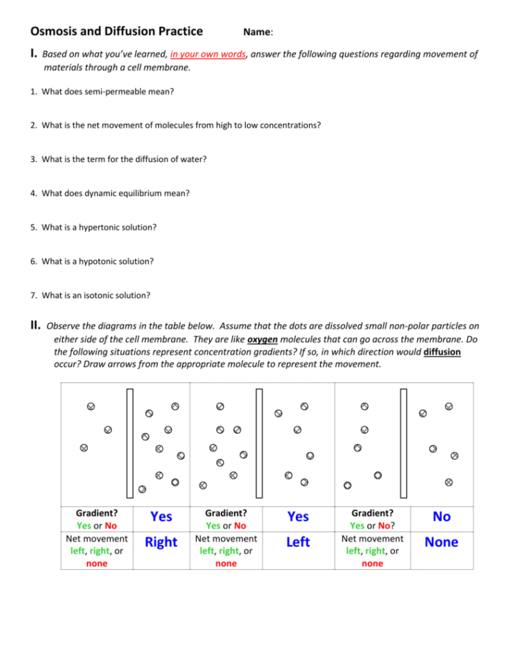 Osmosis And Diffusion Practice Osmosis And Diffusion Practice