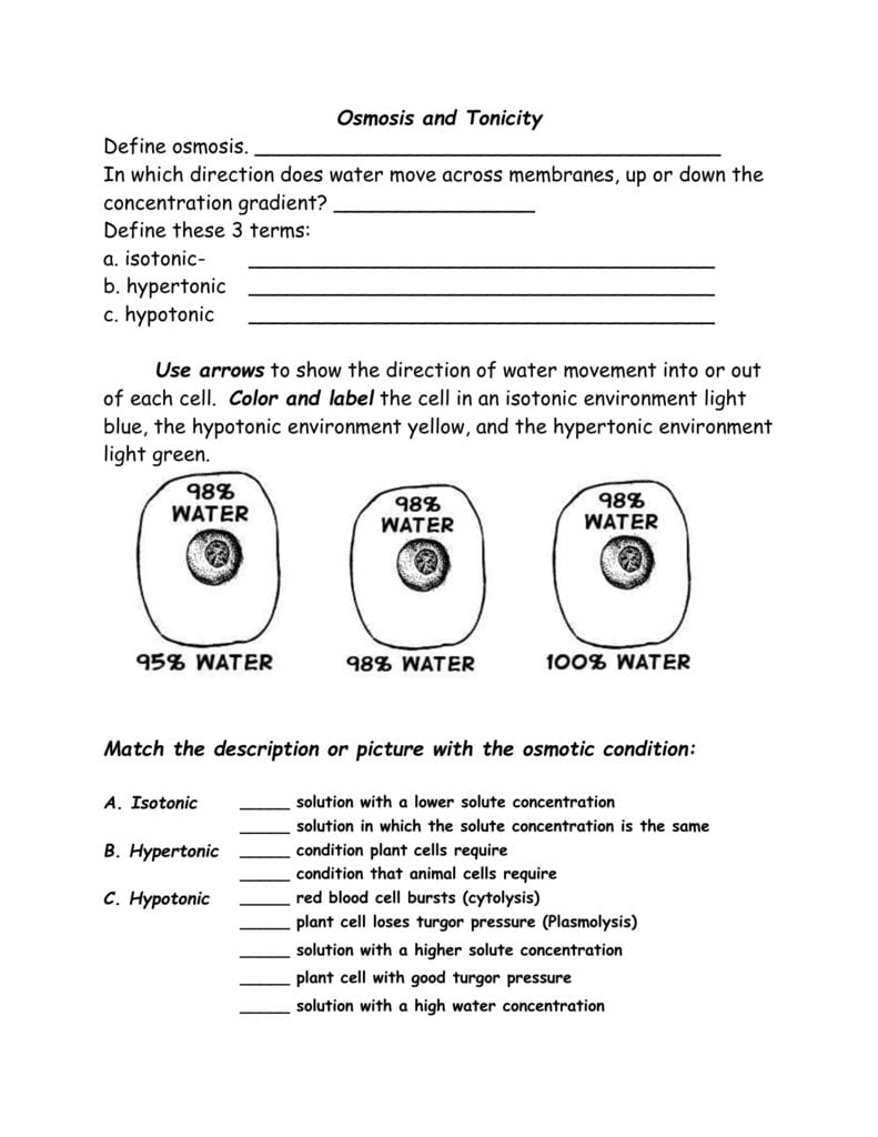 Osmosis And Tonicity Worksheet