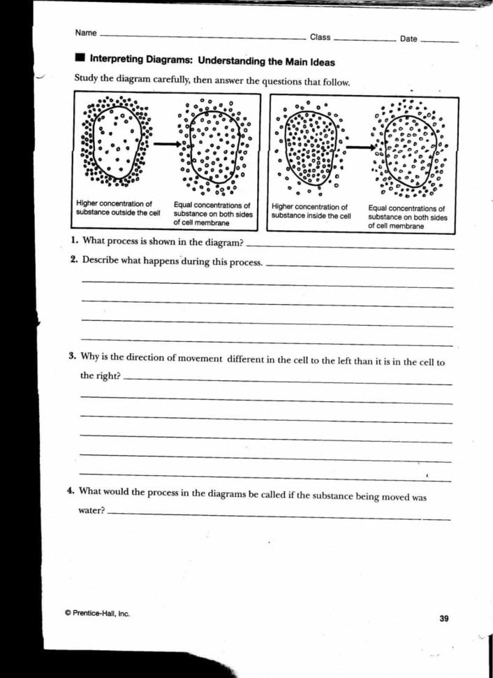 Tonicity And Osmosis Worksheet Answers