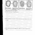 Osmosis And Tonicity Worksheet Answers