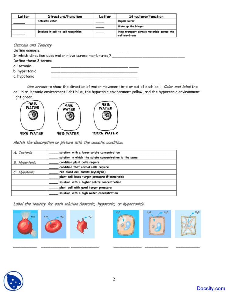 Osmosis And Tonicity Worksheet Order Of Operations