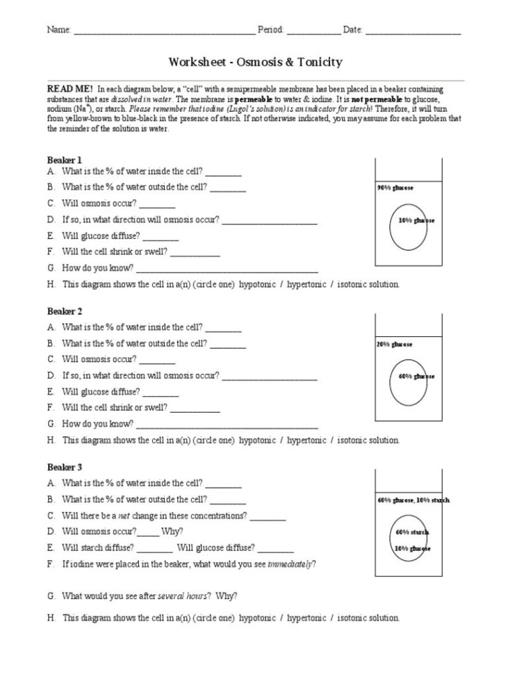 Osmosis And Tonicity Worksheet  Yooob