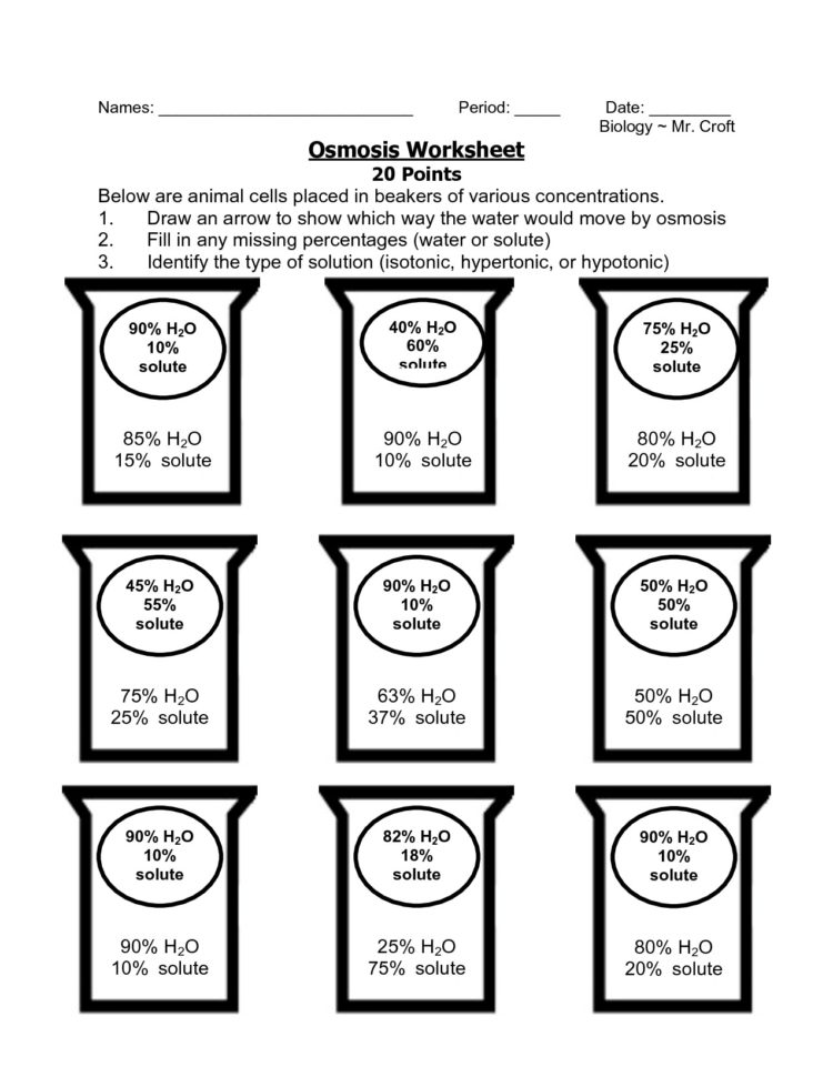 Osmosis Worksheet  Scriptclub