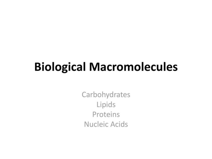 Biological Macromolecules Worksheet