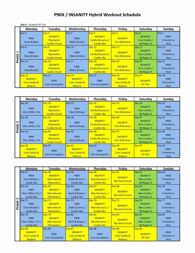 P90X Plyometrics Worksheet