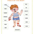 Parts Of The Body Interactive Worksheet