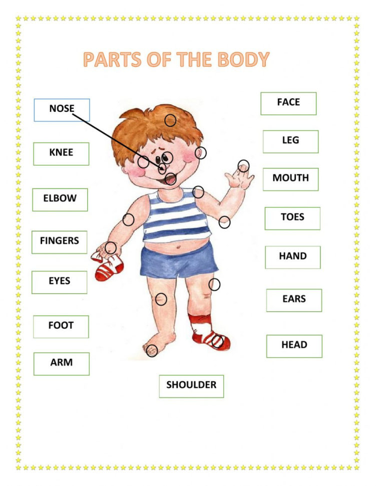 Parts Of The Body Interactive Worksheet