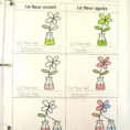 Parts Plant Parts Of A Flower Worksheet Beautiful Ft Grade Math