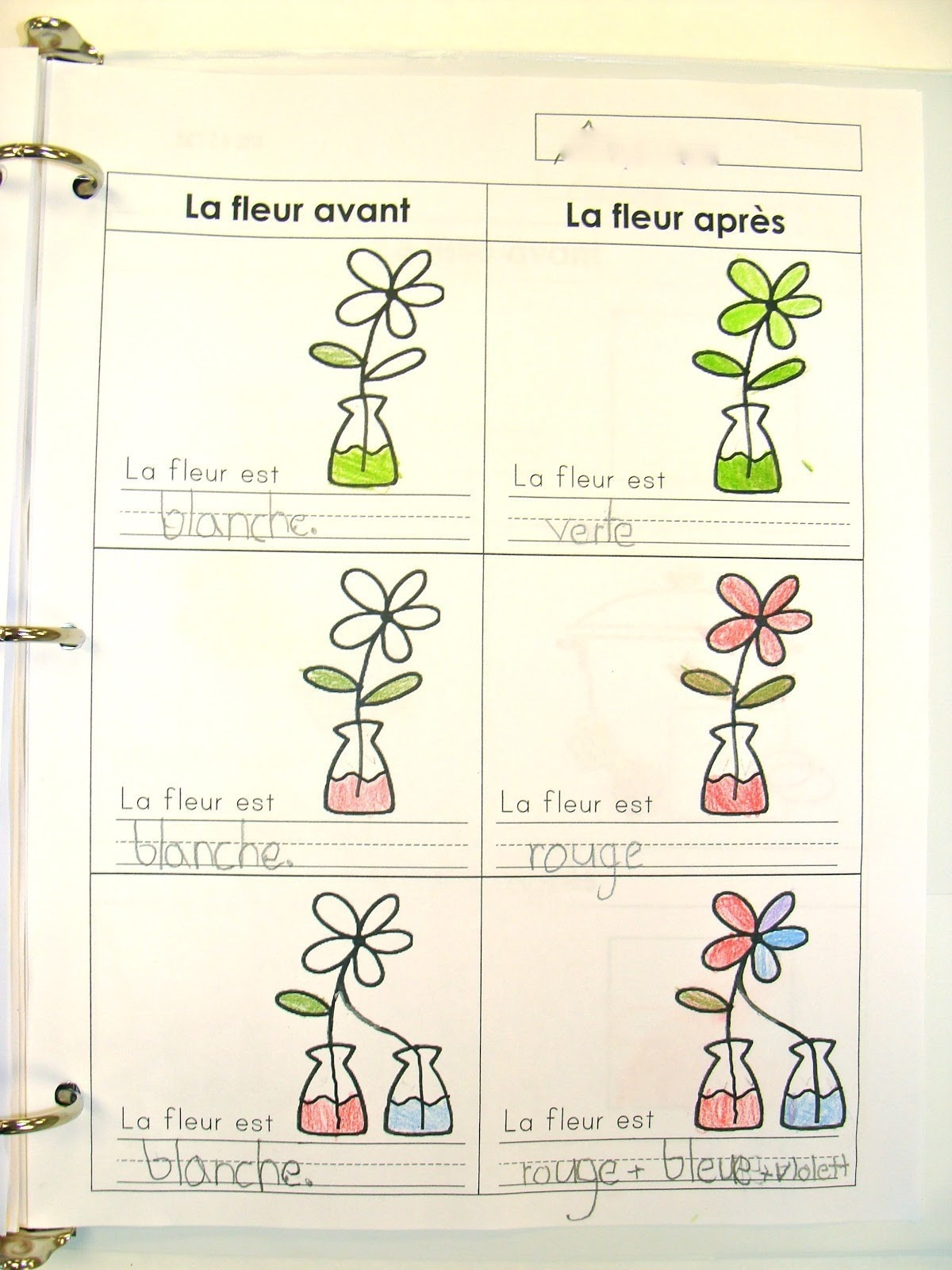 Parts Plant Parts Of A Flower Worksheet Beautiful Ft Grade Math