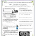 Past Perfect Tutor  Exercises  Interactive Worksheet