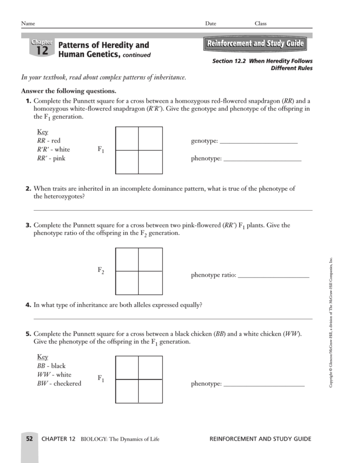 Patterns Of Inheritance Worksheet Answers