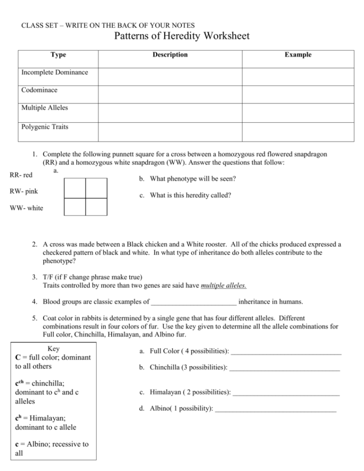 Patterns Of Heredity Worksheet