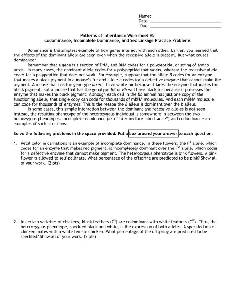 Patterns Of Inheritance Worksheet 5