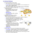 Pdf Ch 9 Lecture Notes