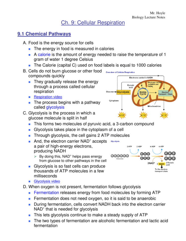 Pdf Ch 9 Lecture Notes
