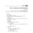 Pdf Gene  Expression And Regulation In Recent Advances In