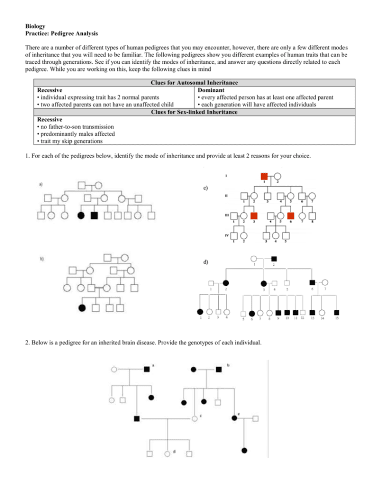 Pedigree Analysis