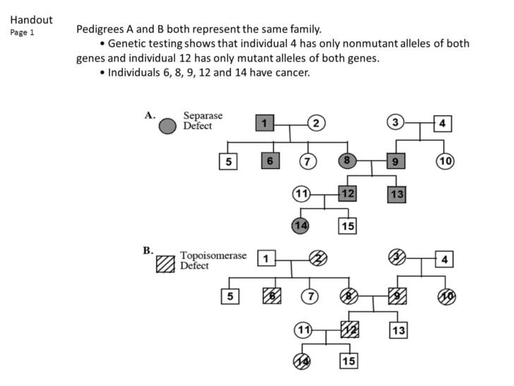 Pedigree Analysis Worksheet