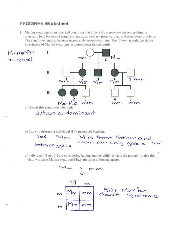 Pedigree Analysis Worksheet Answers