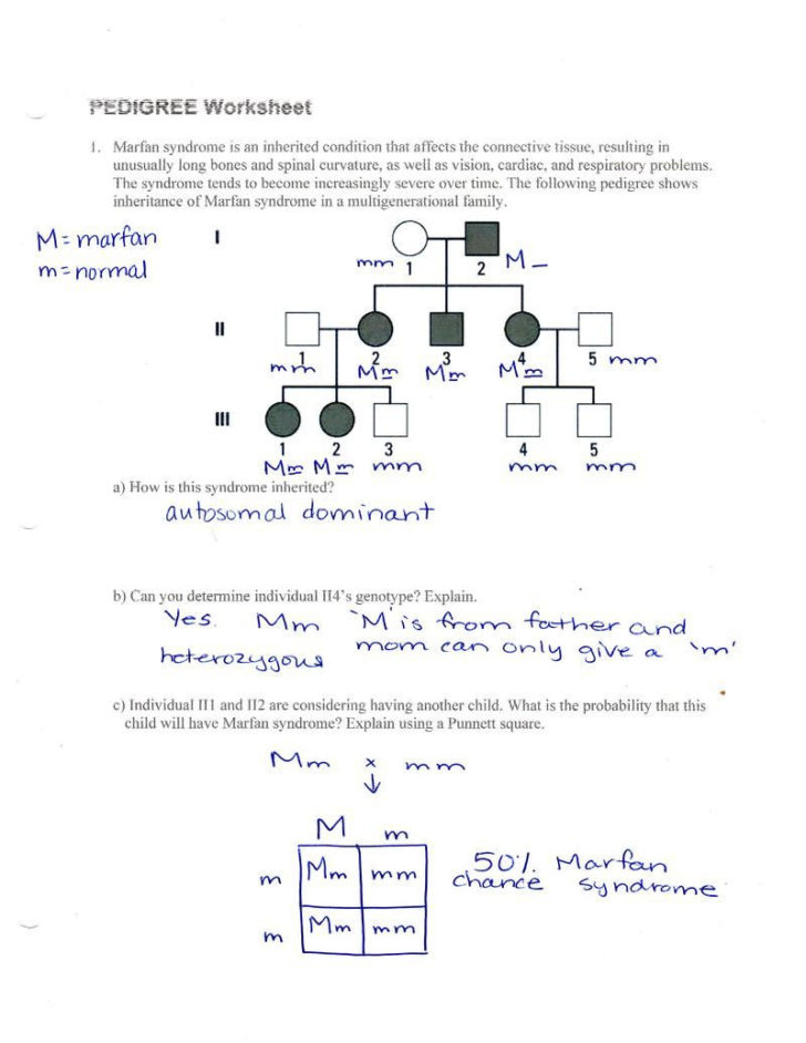 Analyzing Pedigrees Worksheet Answers