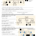 Pedigree Charts Worksheet Answers  Soccerphysicsonline