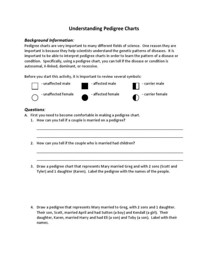 Pedigree Charts Worksheet Answers  Soccerphysicsonline