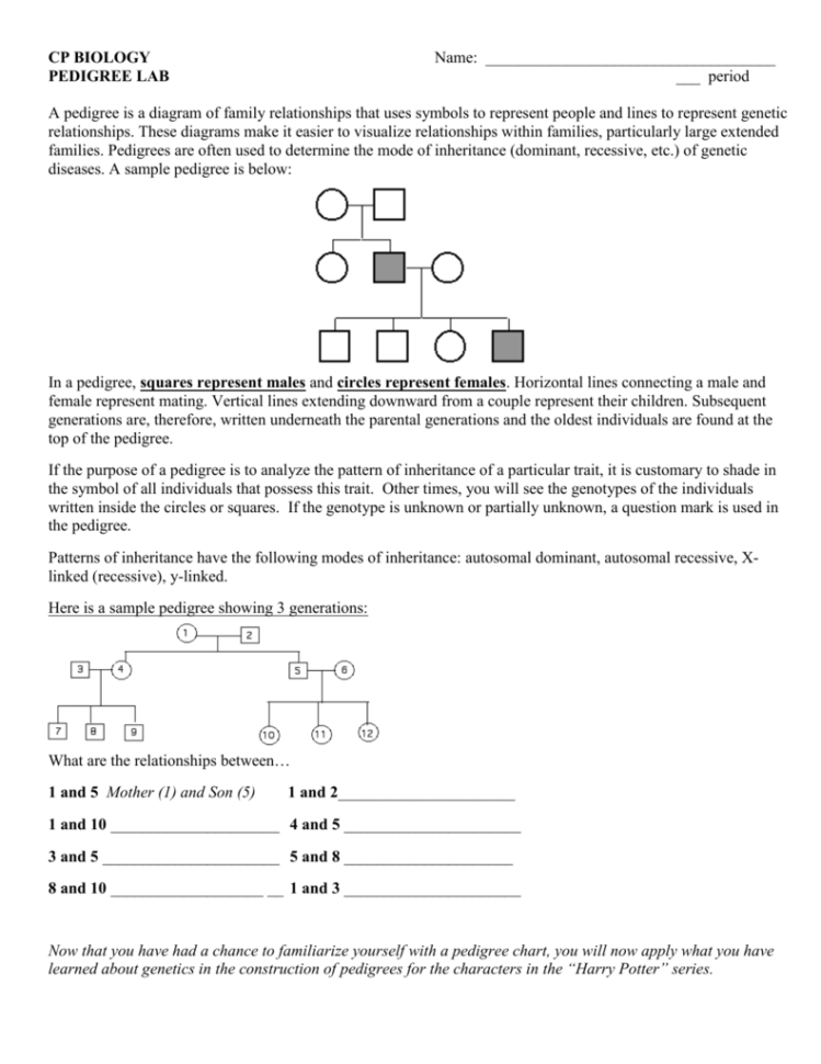 Pedigree Lab  Brookwood High School