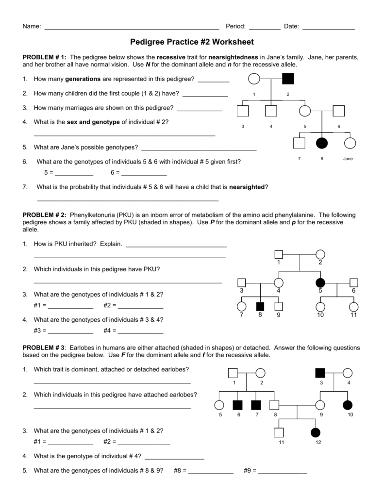 Pedigree Practice Problems Worksheet Db excel