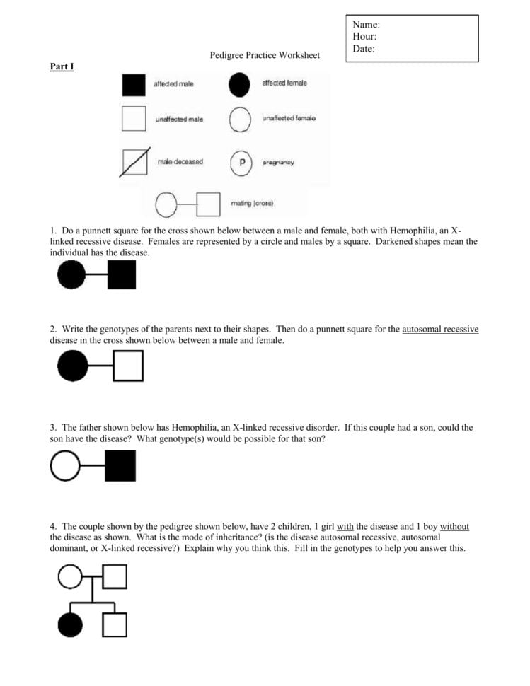 Pedigree Practice Worksheet  Welcome To Teachersolatheschools