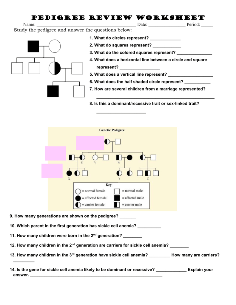 Sickle Cell Anemia Pedigree Worksheet Db excel