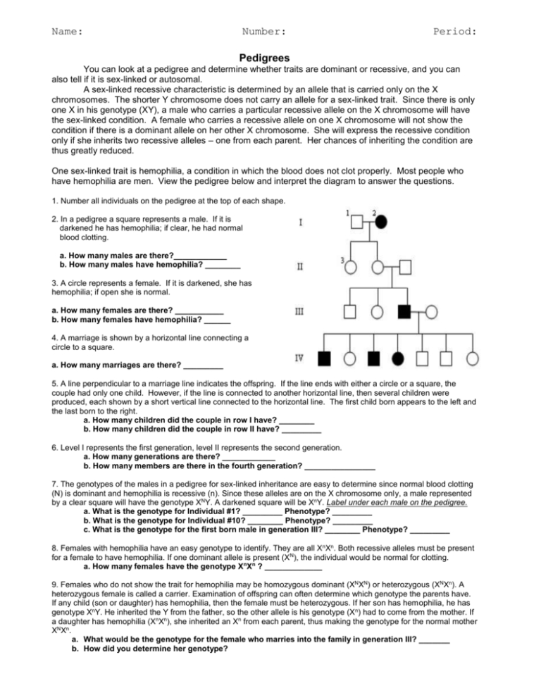 Pedigree Worksheet 3 Hemophilia The Royal Disease Answers —