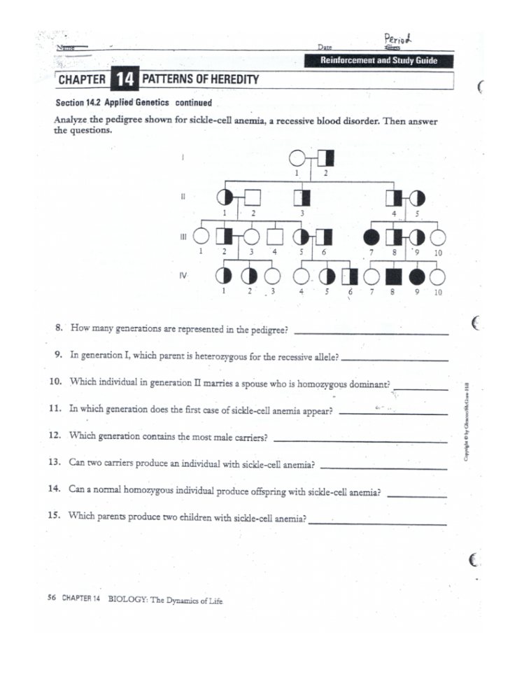 Pedigree Worksheet