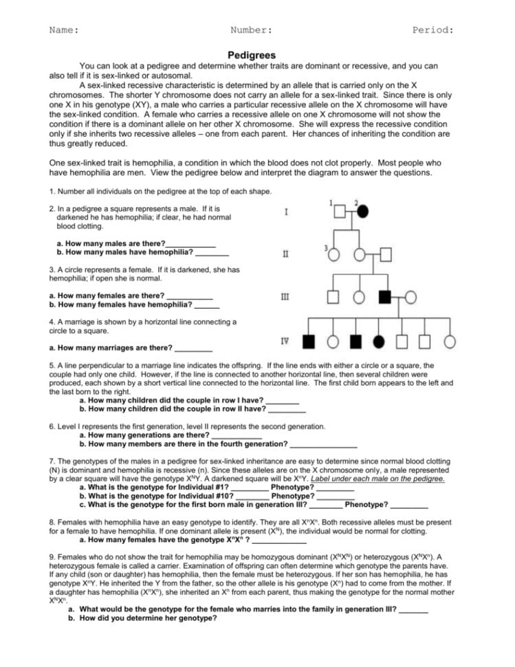 Pedigree Worksheet