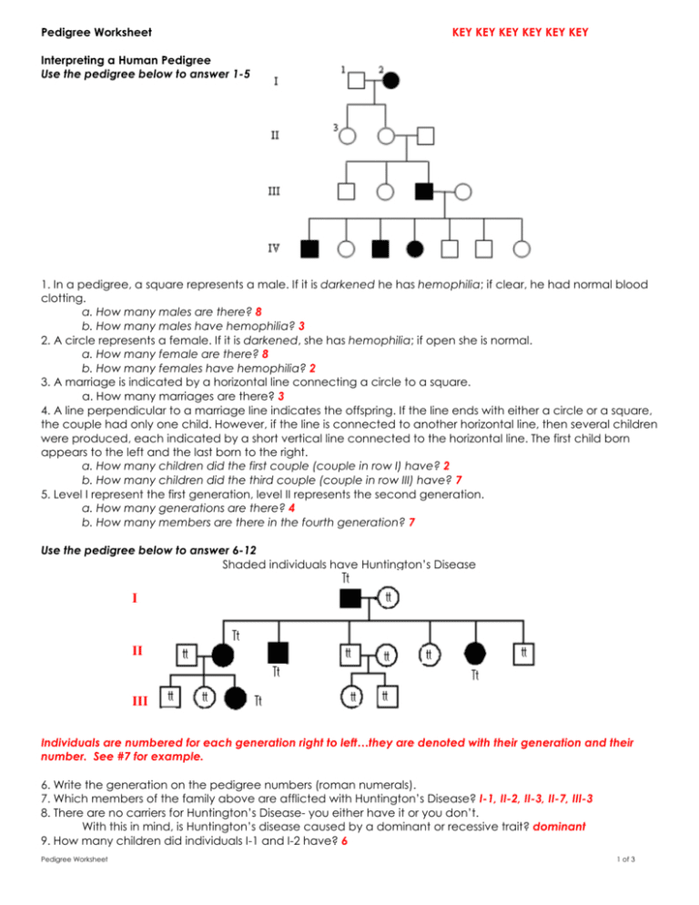 Genetics Pedigree Worksheet Answer Key — db-excel.com