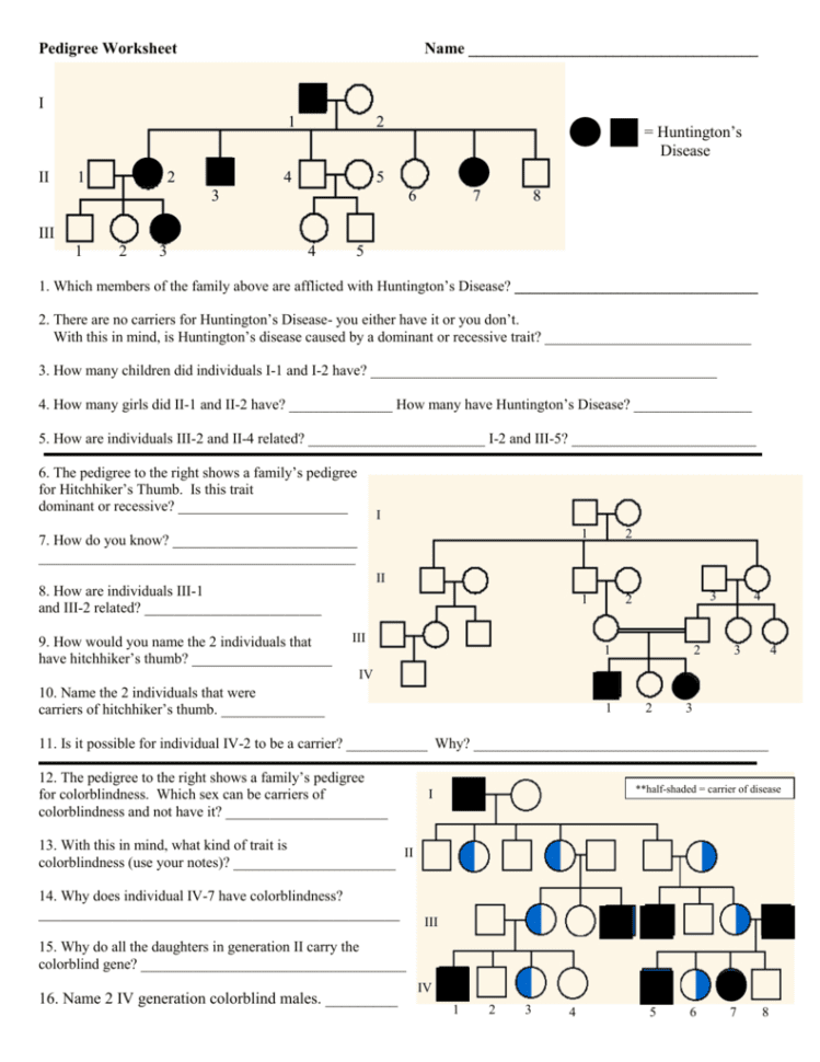 Pedigree Worksheet  Key