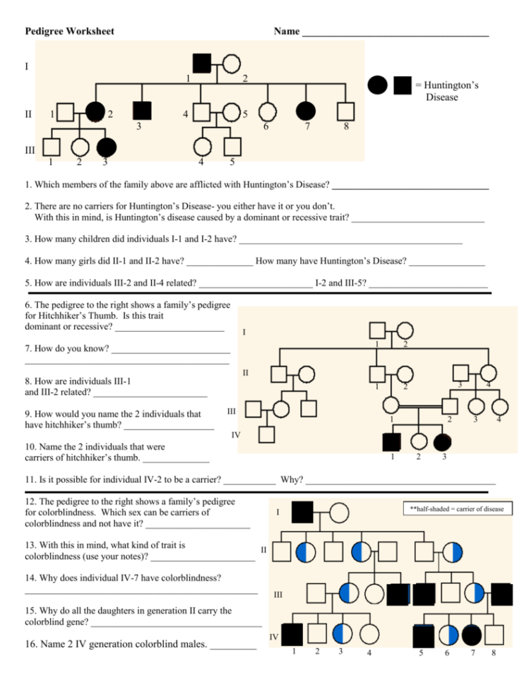 Pedigree Worksheet  Key