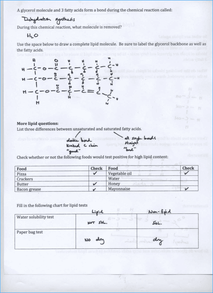 Periodic Table And Chemical Bonding Pdf Unique Chemical