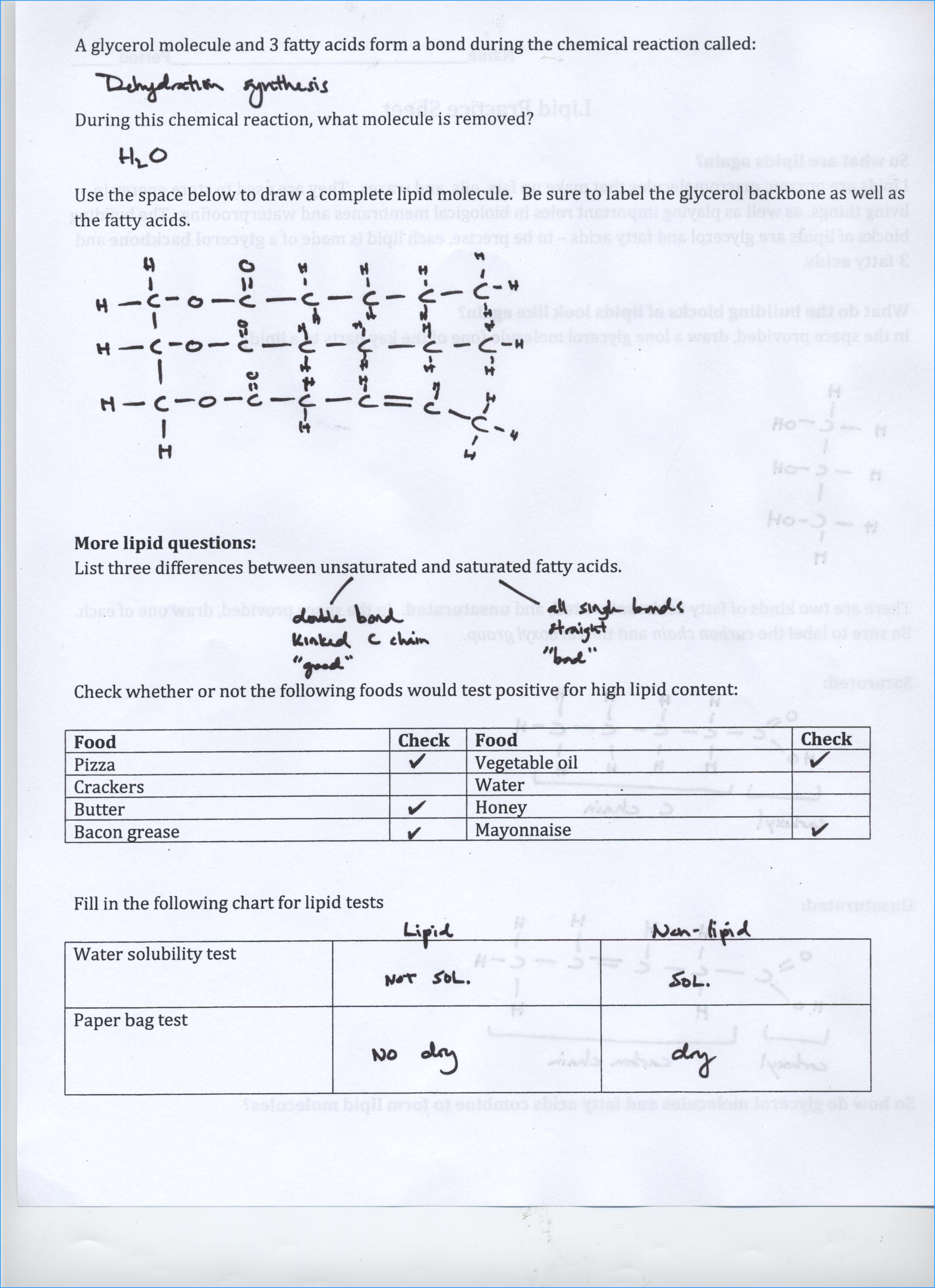 periodic table groups worksheet pdf unique reading db excelcom