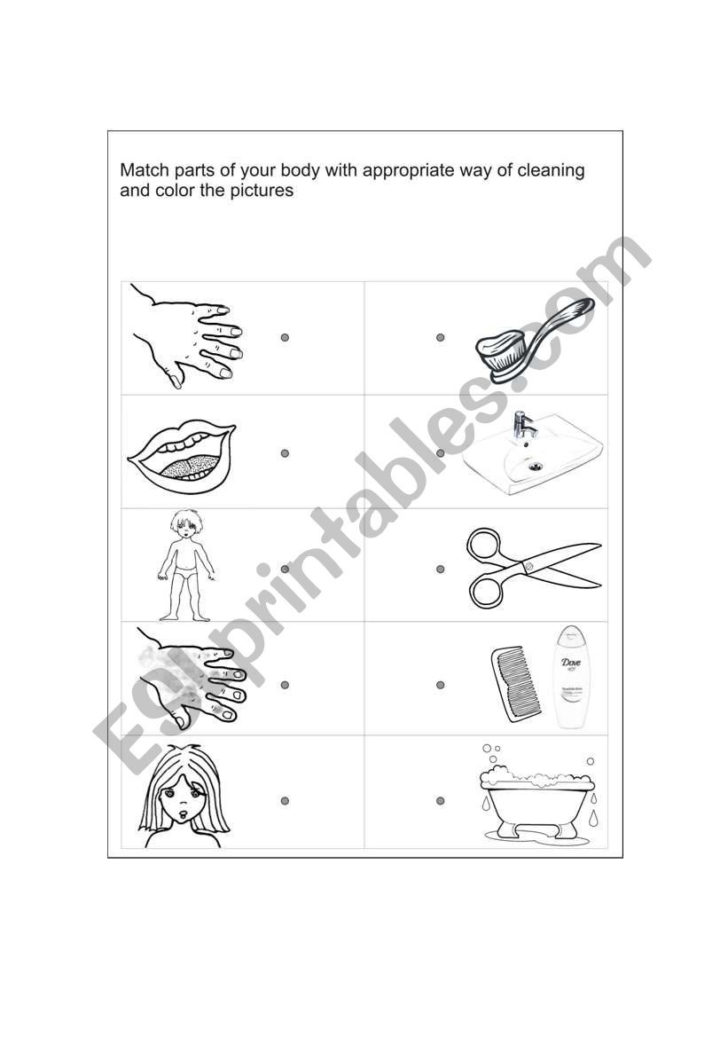 personal-hygiene-esl-worksheetradhikabhasin-db-excel