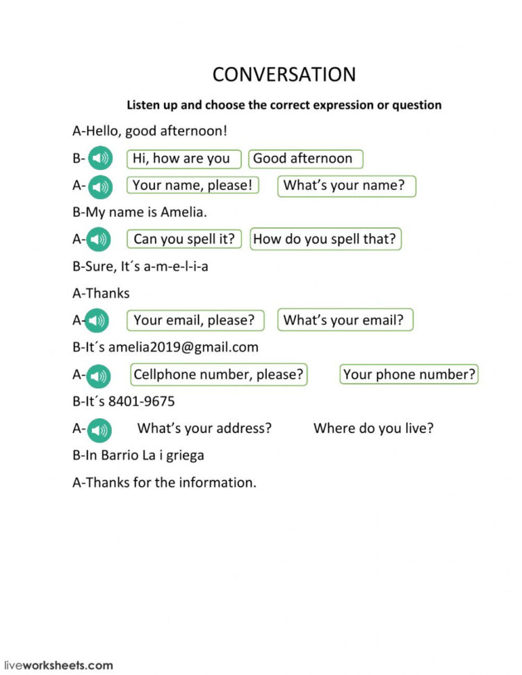 Personal Information Dialogue  Interactive Worksheet