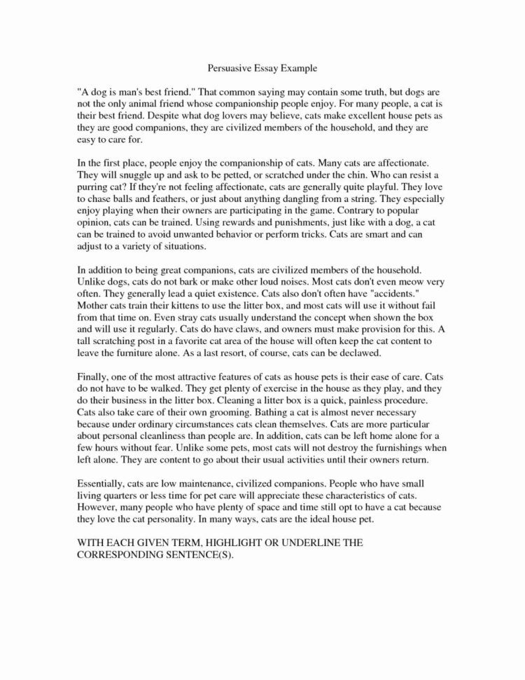 Persuasive Techniques In Advertising Worksheet Answer Key