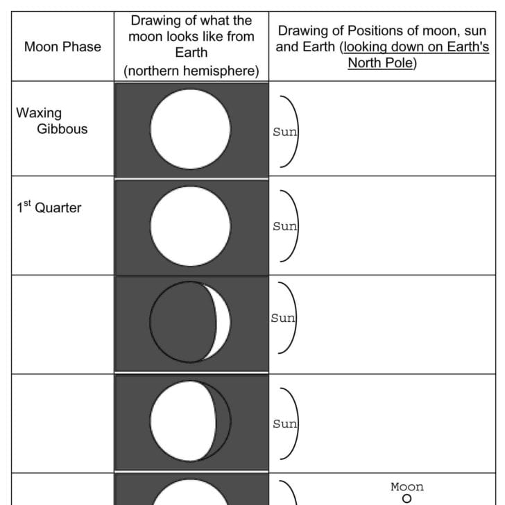 Moon Phases And Eclipses Worksheet