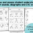 Phonics Worksheets  Assessment And Revision