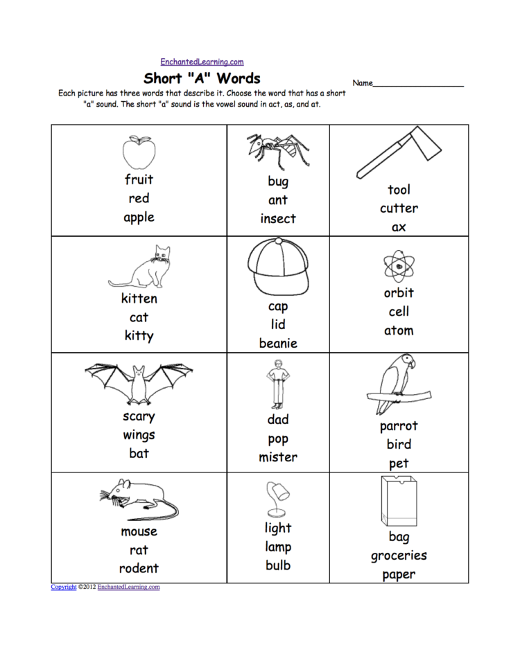 Phonics Worksheets Multiple Choice Worksheets To Print