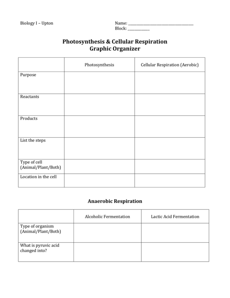 Photosynthesis  Cellular Resp Review Worksheet